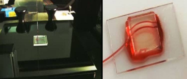 3D Human Tissue Printer