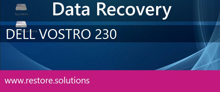 Dell Vostro 230 Windows Recovery Restore Boot Disk DVD USB ISO  Drivers