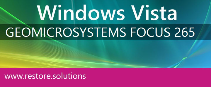 Geo Microsystems Focus 265 Windows Vista