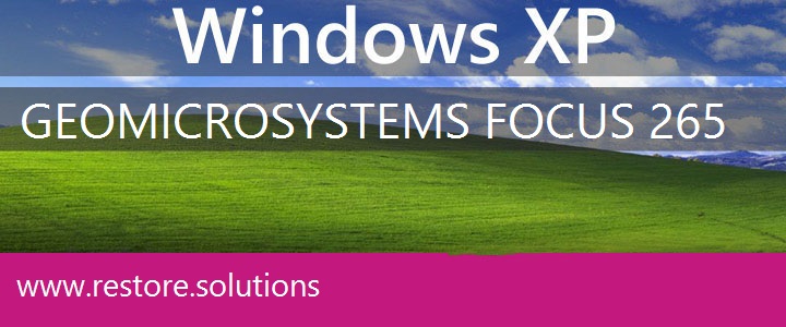 Geo Microsystems Focus 265 Windows XP