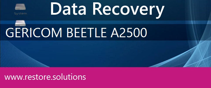 Gericom Beetle A2500 Data Recovery 