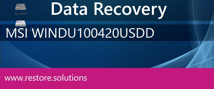 MSI Wind U100-420US Data Recovery 