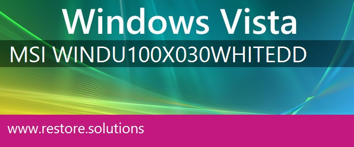 MSI Wind U100X-030 White Windows Vista