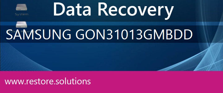 Samsung GO N310-13GMB Data Recovery 