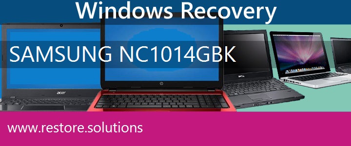 Samsung NC10-14GBK Netbook recovery