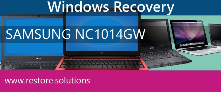 Samsung NC10-14GW Netbook recovery