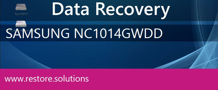 Samsung NC10-14GW Data Recovery 