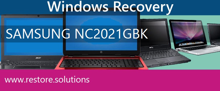 Samsung NC20-21GBK Netbook recovery