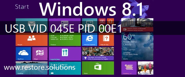 USB\VID_045E&PID_00E1 Windows 8.1 Drivers