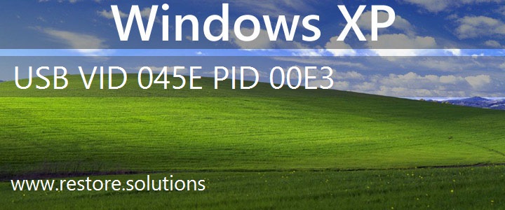 USB\VID_045E&PID_00E3 Windows XP Drivers