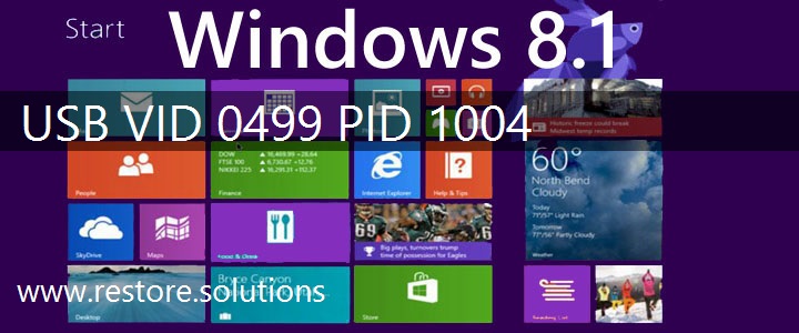 USB\VID_0499&PID_1004 Windows 8.1 Drivers