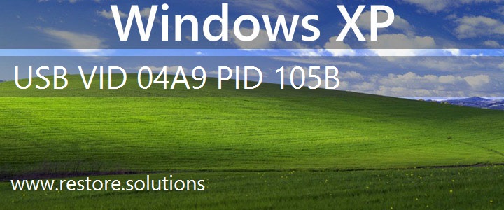 USB\VID_04A9&PID_105B Windows XP Drivers