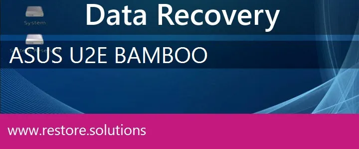 Asus U2E BAMBOO data recovery