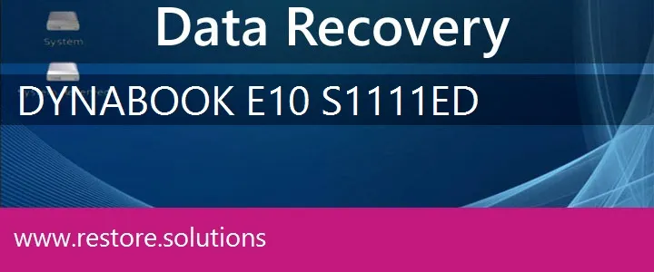 Dynabook E10-S1111ED data recovery