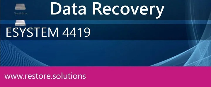E System 4419 data recovery