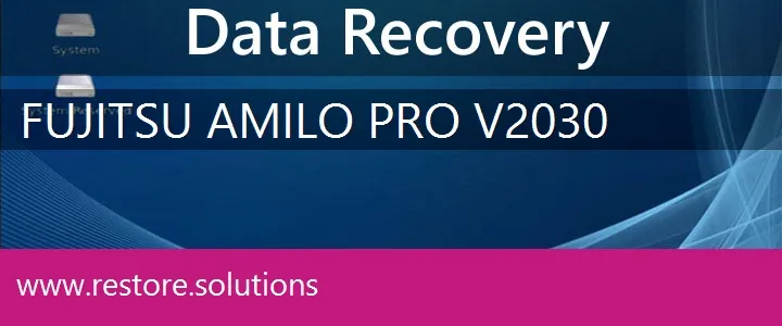 Fujitsu Amilo Pro V2030 data recovery