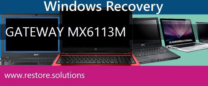 Gateway MX6113m Laptop recovery