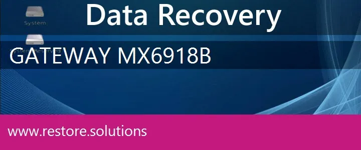 Gateway MX6918b data recovery