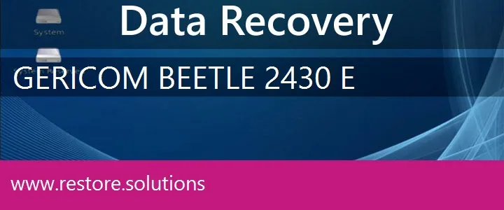 Gericom Beetle 2430 E data recovery