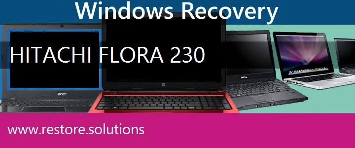 Hitachi Flora 230 Laptop recovery