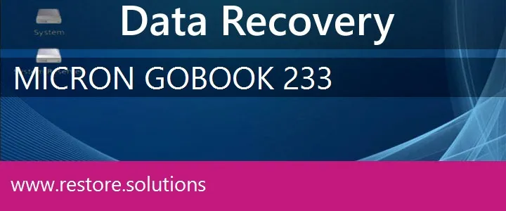 Micron GoBook 233 data recovery