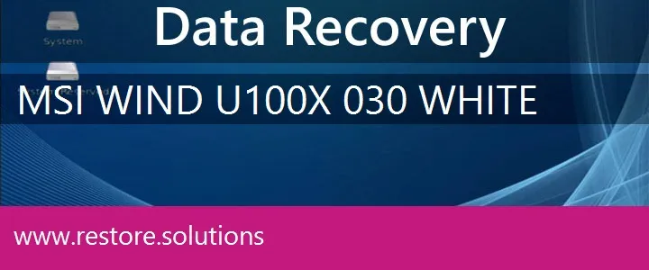 MSI Wind U100X-030 White data recovery