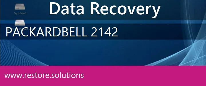 Packard Bell 2142 data recovery