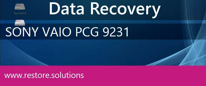 Sony Vaio PCG-9231 data recovery