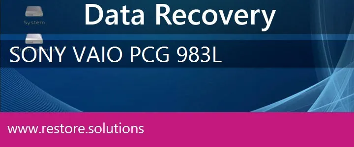 Sony Vaio PCG-983L data recovery