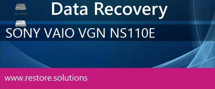 Sony Vaio VGN-NS110E data recovery