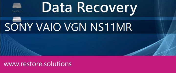 Sony Vaio VGN-NS11MR data recovery