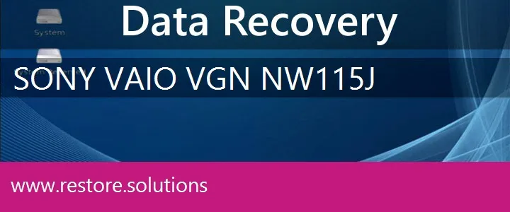 Sony Vaio VGN-NW115J data recovery