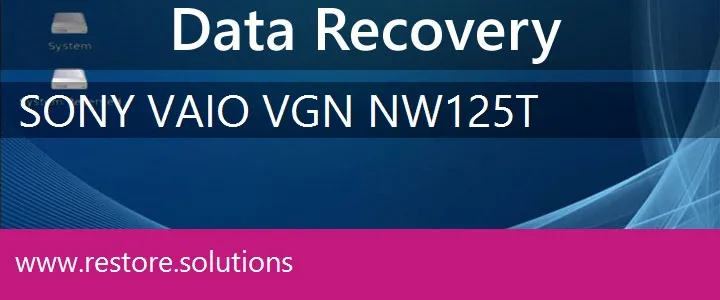 Sony Vaio VGN-NW125T data recovery
