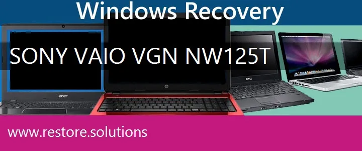 Sony Vaio VGN-NW125T Laptop recovery