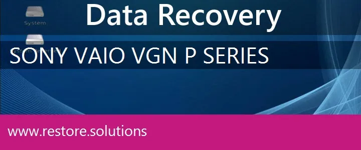 Sony Vaio VGN-P Series data recovery