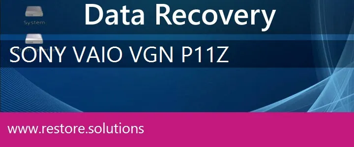 Sony Vaio VGN-P11Z data recovery