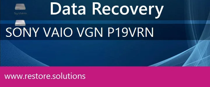 Sony Vaio VGN-P19VRN data recovery