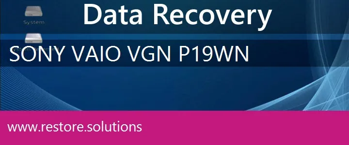 Sony Vaio VGN-P19WN data recovery