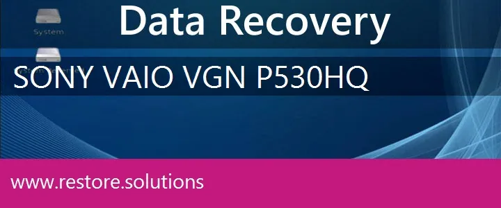 Sony Vaio VGN-P530HQ data recovery