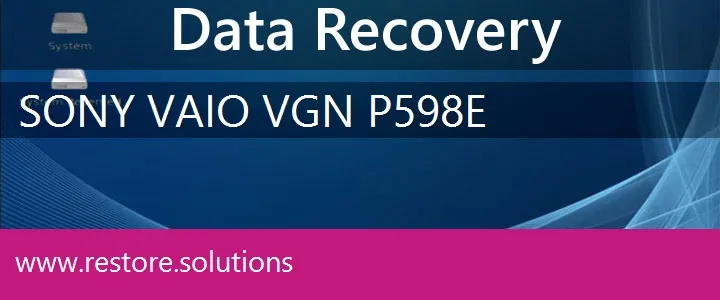 Sony Vaio VGN-P598E data recovery