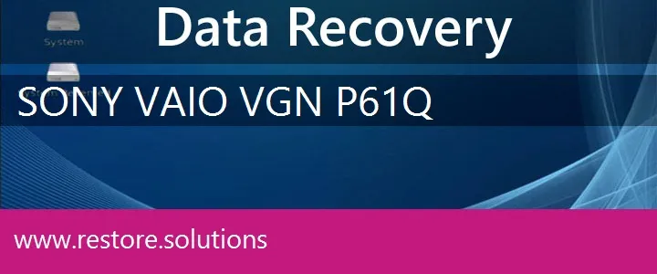 Sony Vaio VGN-P61Q data recovery