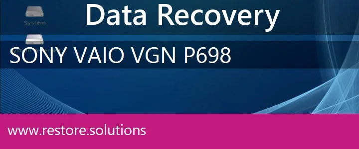 Sony Vaio VGN-P698 data recovery