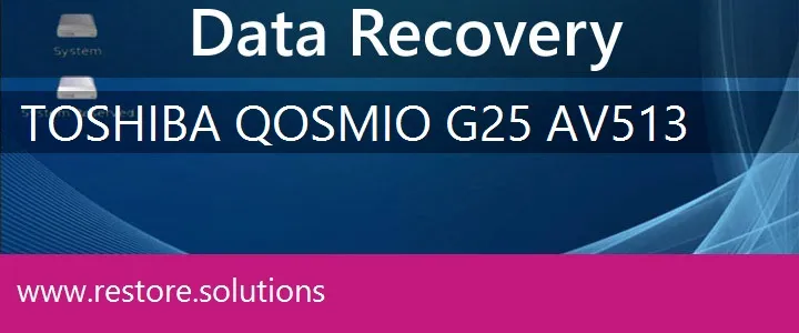 Toshiba Qosmio G25-AV513 data recovery