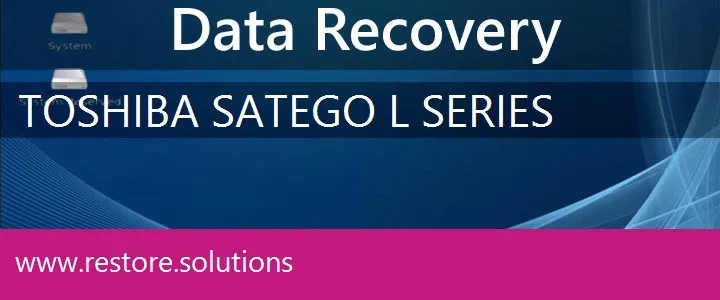Toshiba Satego L Series data recovery