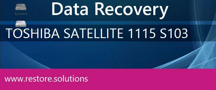 Toshiba Satellite 1115-S103 data recovery