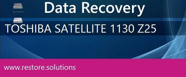 Toshiba Satellite 1130-Z25 data recovery
