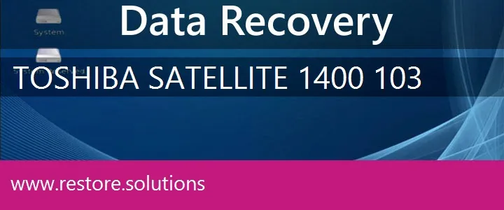 Toshiba Satellite 1400-103 data recovery