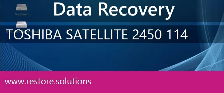 Toshiba Satellite 2450-114 data recovery