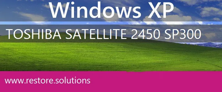 Toshiba Satellite 2450-SP300 windows xp recovery