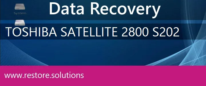 Toshiba Satellite 2800-S202 data recovery